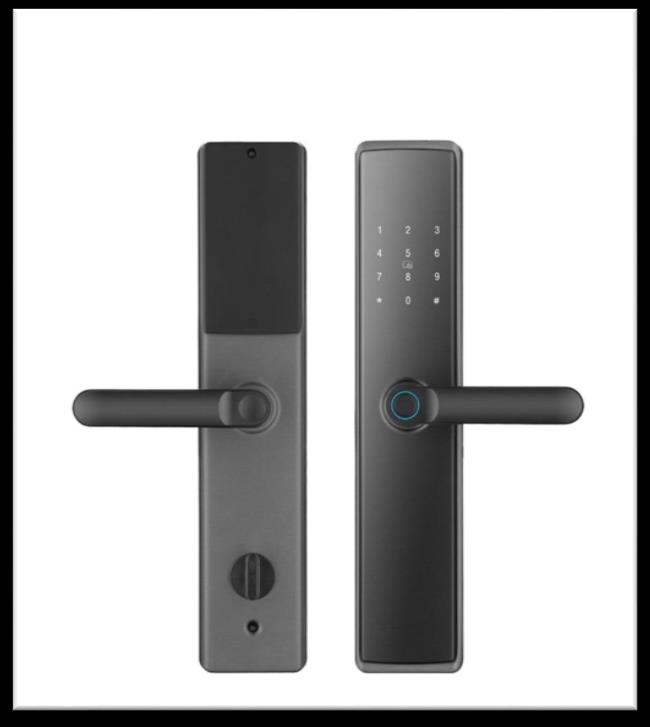 Serrure intelligente SSE-1