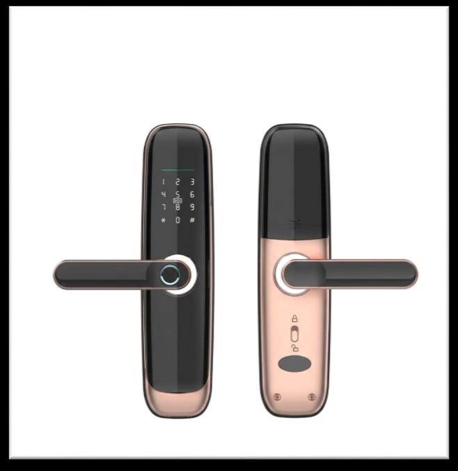 Serrure intelligente SSE-10 S5