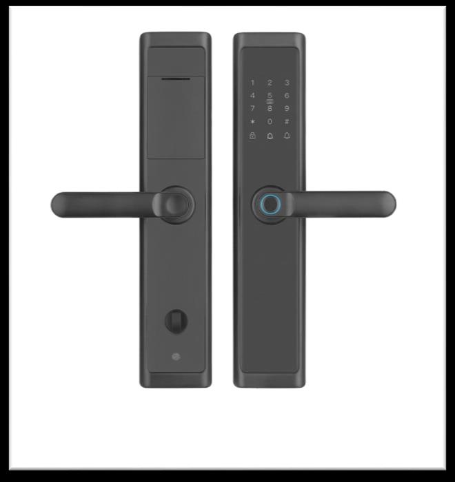 Serrure intelligente SSE-2 LG725
