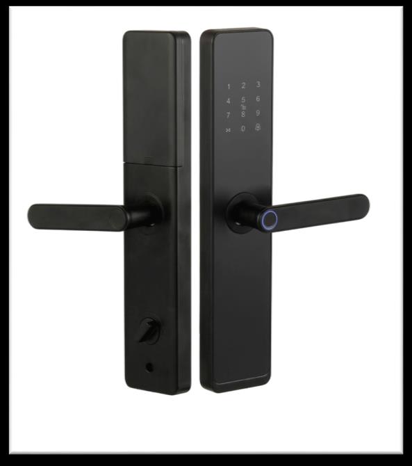 Serrure intelligente SSE-3 LG739