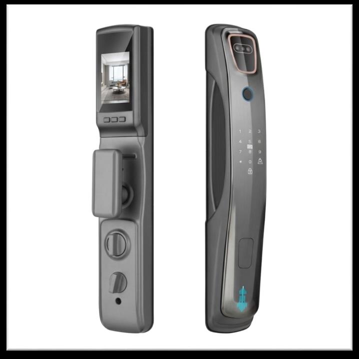 Serrure intelligente SSE-5 LG721